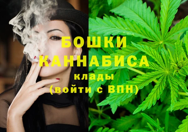 дурь Новодвинск