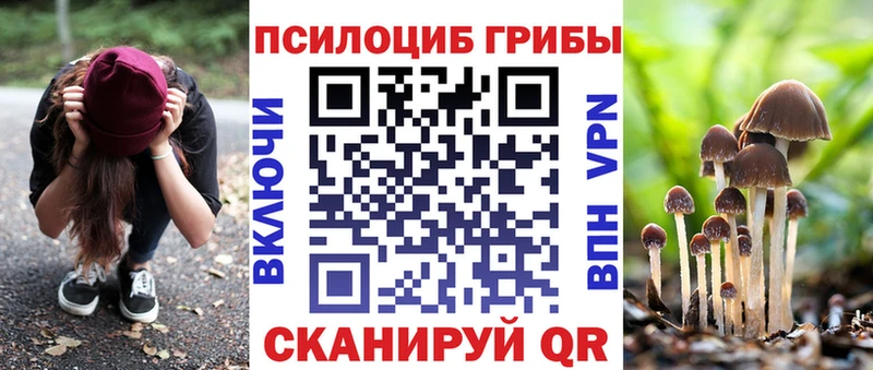 Псилоцибиновые грибы GOLDEN TEACHER  МЕГА зеркало  Подпорожье 